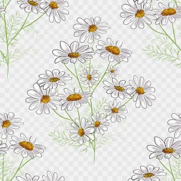 Vector floral seamless pattern with summer yellow herbs and chamomile camomil Stock Illustration