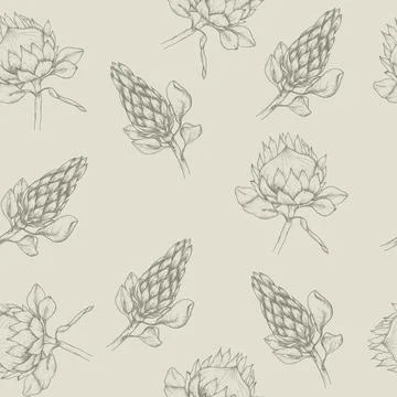 Vector floral seamless pattern with tropical protea flowers in boho style, ea Stock Illustration