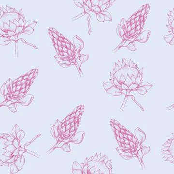Vector floral seamless pattern with tropical protea flowers, pop art pink c.. Stock Illustration
