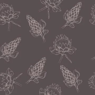 Vector floral seamless pattern with tropical protea flowers on black. Art l.. Stock Illustration