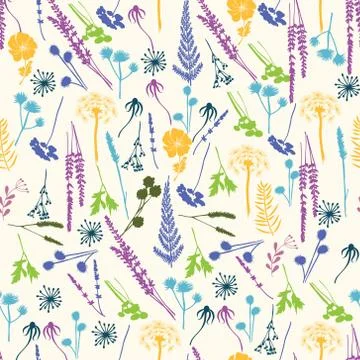 Vector floral seamless pattern with wild flowers Stock Illustration