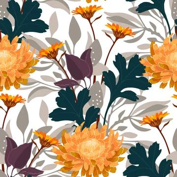Vector floral seamless pattern. Yellow chrysanthemums on a white backgroun... Stock Photos