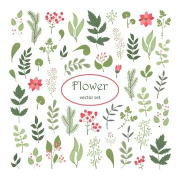 Vector floral set with plants and flowers Stock-Illustration