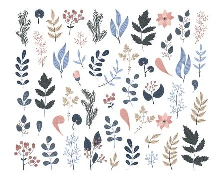 Vector floral set with plants and flowers Illustrazione stock