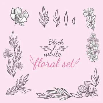 Vector floral set of several elements with leaves, inflorescences and stems on a Stock Illustration