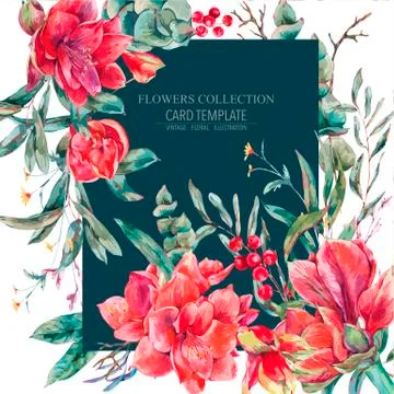 Vector floral template card of red flowers Amaryllis Stock Illustration