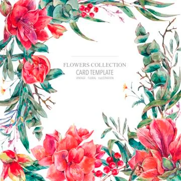 Vector floral template card of red flowers Amaryllis Stock Illustration