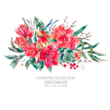 Vector floral template card of red flowers Amaryllis Stock Illustration