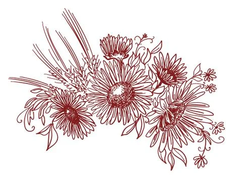 Vector floristic composition. Bouquet of wildflowers isolated on white Stock Illustration