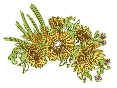 Vector floristic composition. Color Bouquet of wildflowers isolated on white Stock Illustration