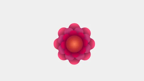 Vector flower blossoms, leaves appear. Alpha channel 스톡 동영상 88460026