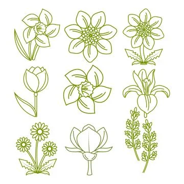 Vector flower clipart. Collection of spring flower clipart. Floral illustra.. Stock Illustration