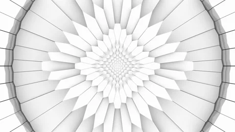 Vector flower 스톡 동영상 267454282