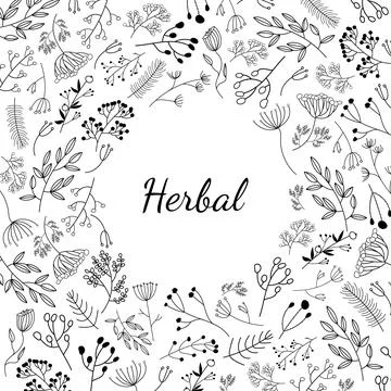 Vector flower frame line art. Floral card with leaves Stock Illustration