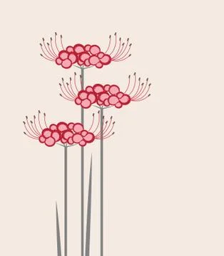 Vector flower Higanbana Stock Illustration
