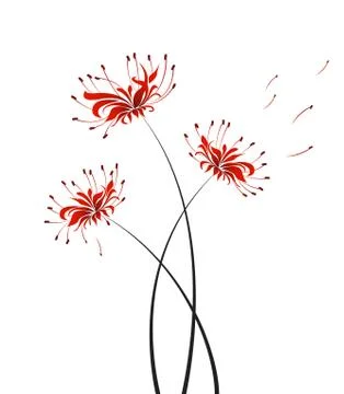 Vector flower Higanbana Stock Illustration