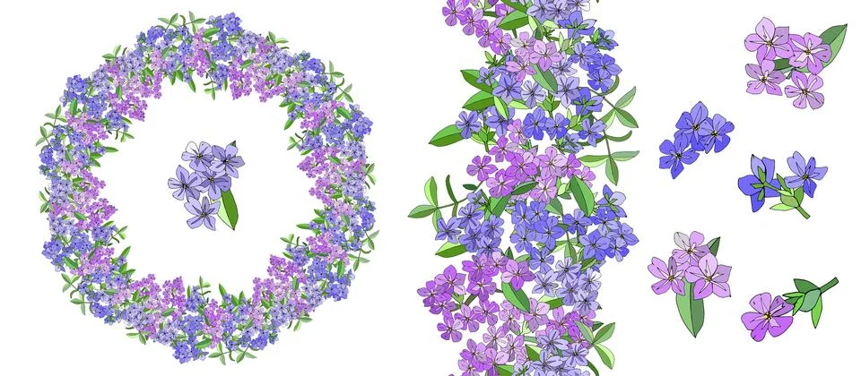 Vector flower romantic set with different phloxes on white. Stock Illustration