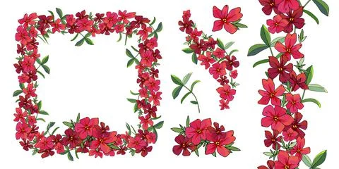 Vector flower romantic set. Hand drawn illustration. Illustrazione stock