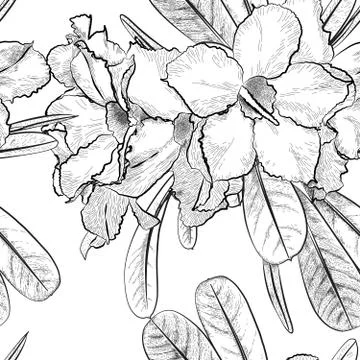 Vector flower seamless surface pattern monochromatic black white Stock Illustration