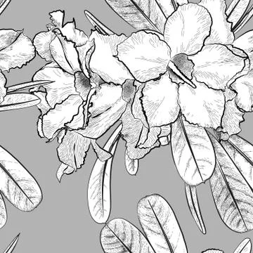 Vector flower seamless surface pattern monochromatic line art Stock Illustration