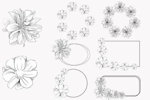 Vector flower set with flowers, frames. Stock Illustration