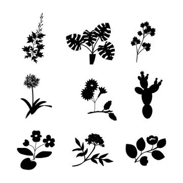 Vector flowers collection Stock Illustration