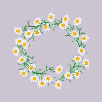 Vector flowers set. Beautiful wreath on purple background. Elegant floral dai Stock Illustration
