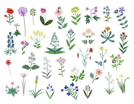 Vector flowers set Stock Illustration