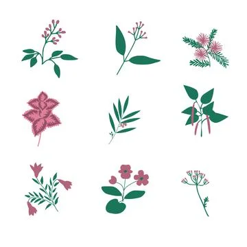 Vector flowers set Stock Illustration