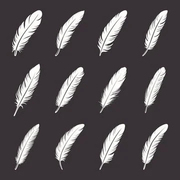 Vector Fluffy Feather Logo, Icon Set, Silhouette Feather Closeup Isolated Illustrazione stock
