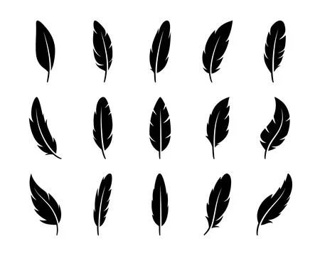 Vector Fluffy Feather Silhouette Icon Set Isolated on White Background. Design 스톡 일러스트