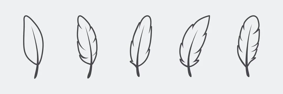 Vector Fluffy Feather Silhouette Icon Set Isolated. Design Template of Flamingo イラスト素材
