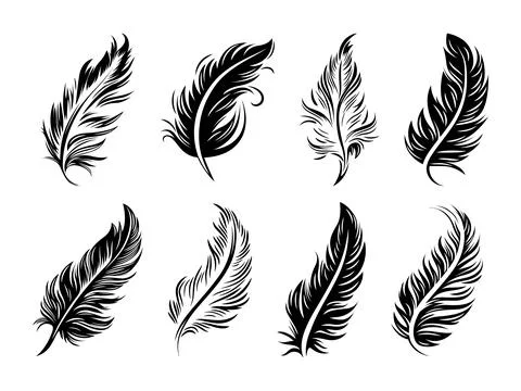 Vector Fluffy Feather Silhouette Icon Set Isolated. Design Template of Flamingo Stock Illustration