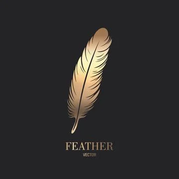 Vector Fluffy Golden Color Feather Logo Icon, Silhouette Feather Closeup Illustrazione stock