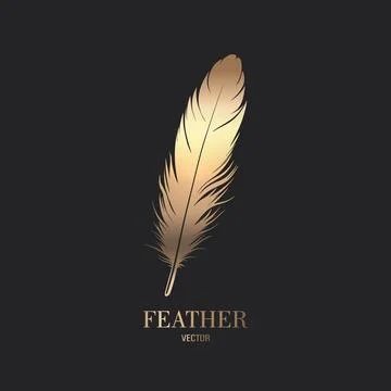 Vector Fluffy Golden Color Feather Logo Icon, Silhouette Feather Closeup Illustrazione stock
