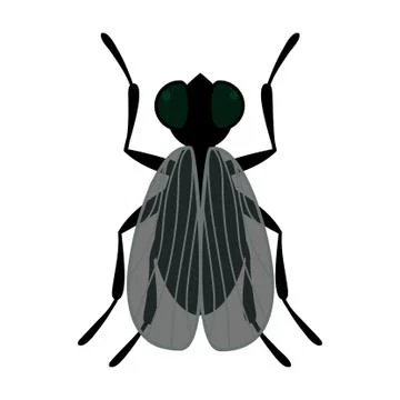 Vector fly Stock Illustration