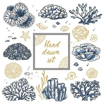 Vector flyer with corals around the text and wavy lines for design. Deep sea Stock Illustration