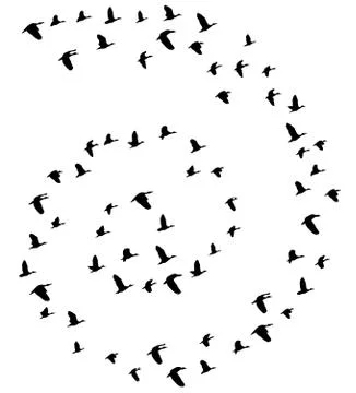 Vector Flying Birds Stock Illustration