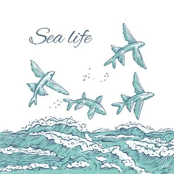 Vector flying fish jumping dive in sea waves and foam. Monochrome sketch ray Stock Illustration