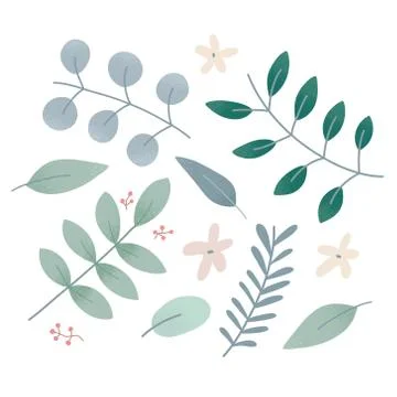 Vector foliage, collection of botanical elements, leaves, branches and flowers Stock Illustration