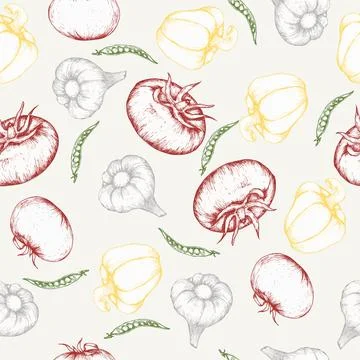 Vector food seamless pattern. Art line , fresh vegetables background for me.. Stock Illustration