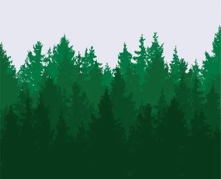 Vector forest background. green spring woods, nature landscape Stock Illustration
