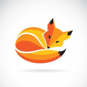 Vector of a fox design on a white background, Wild Animals Stock Illustration