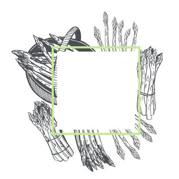 Vector frame with asparagus. Stock Illustration