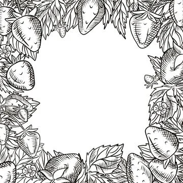 Vector frame with berries. Berries, strawberries, frame, blueberries, menus.. Stock Illustration