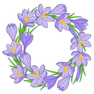 Vector frame with blue crocus flowers on a white background Stock Illustration