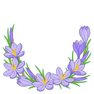 Vector frame with blue crocus flowers on a white background Stock Illustration