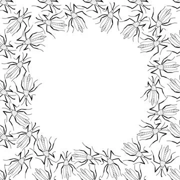 Vector frame, border from black contoured small mosquitoes, moths or beetles  스톡 일러스트