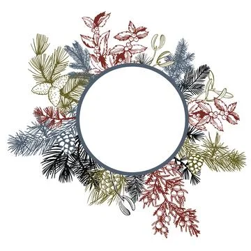 Vector frame with Christmas plants. . Stock Illustration