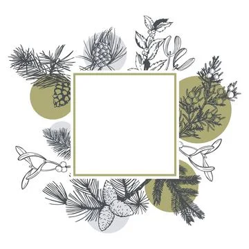 Vector frame with Christmas plants. Illustrazione stock